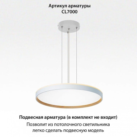 Накладной светильник Citilux ETALON CL750500R