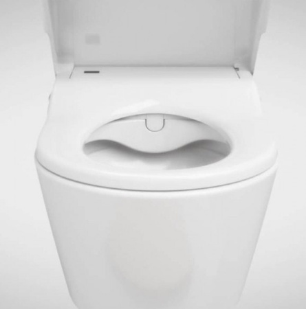 Унитаз-биде Roca Inspira in-wash 803060001
