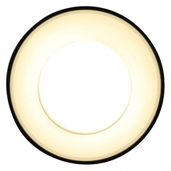 Накладной светильник Ambrella Light TN TN3412