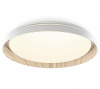 Накладной светильник Citilux MEGA CL752352G
