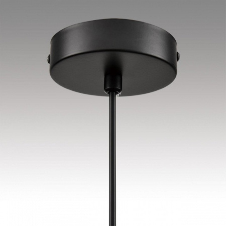 Подвесной светильник Lumion Natalina 8232/1