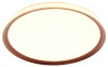 Накладной светильник Mizi`en Titan MZ31502-430