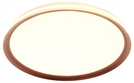 Накладной светильник Mizi`en Titan MZ31502-430