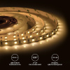 Лента светодиодная Apeyron Electrics  00-338