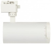 Светильник на штанге Эра  TR59 - 3030 WH