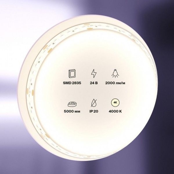 Лента светодиодная Maytoni Led Strip Светодиодная лента 24В 10155