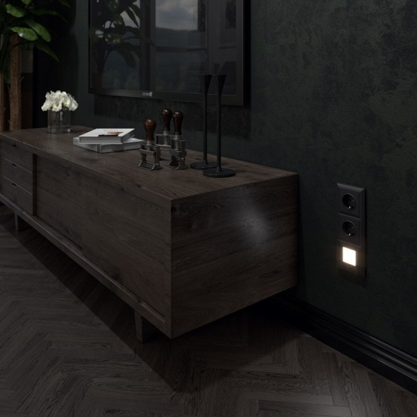 Заглушка для поста с подсветкой без рамки Werkel черный W1154308