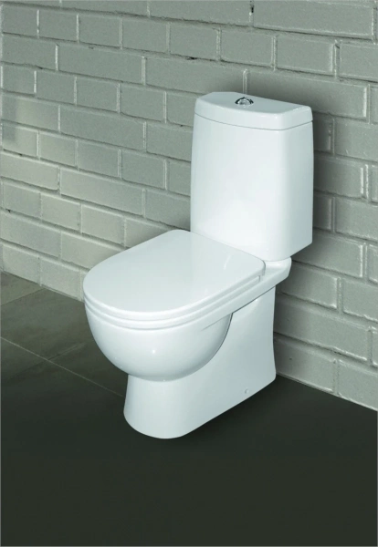 Унитаз-компакт с сиденьем микролифт Sanita Luxe Fest WC.CC/Fest/2-DM/WHT.G/S1