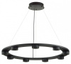 Подвесная люстра Odeon Light Turman 6631/75L