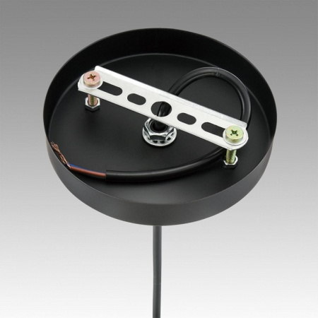 Подвесной светильник Lumion Elenika 8057/1А