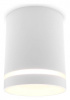 Накладной светильник Ambrella Light TN TN3202