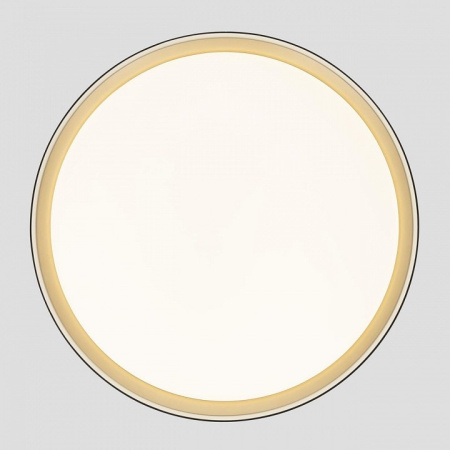 Накладной светильник Citilux BOSS CL751451G