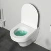 Подвесной унитаз AM.PM Inspire C501700WH безободковый