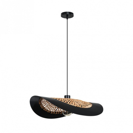 Подвесной светильник Arte Lamp Woodstock A7059SP-1BK