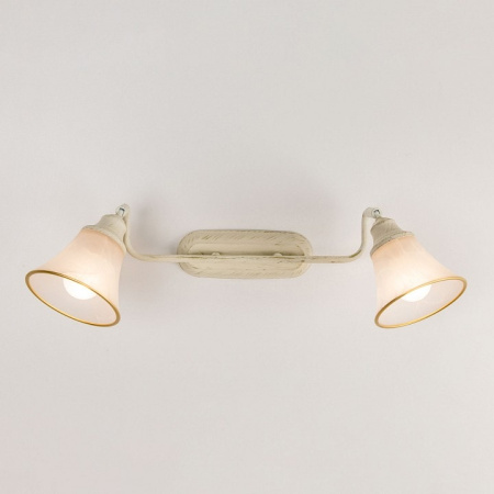 Спот Citilux Прованс CL511524