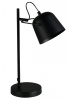 Настольная лампа офисная EVOLUCE Blank SLE1805-404-01