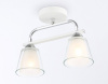 Светильник на штанге Ambrella Light TR TR303229
