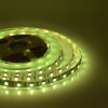 Лента светодиодная Apeyron Electrics  00-310