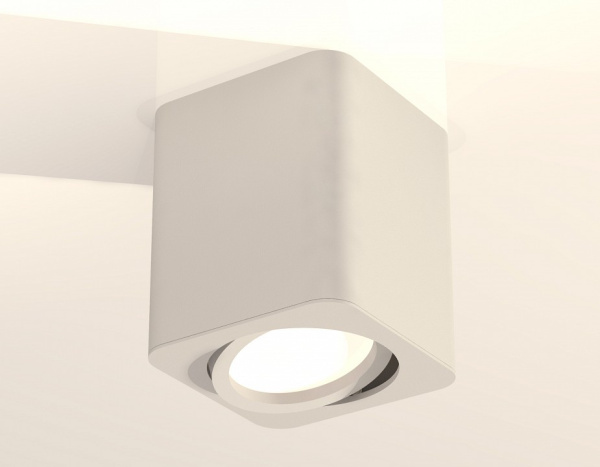 Накладной светильник Ambrella Light XS XS7812010