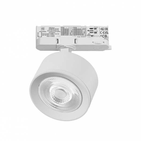 Светильник на штанге Lightstar Alta Pro A5546QT60G