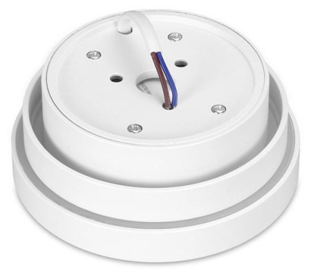 Накладной светильник Ambrella Light TN TN601