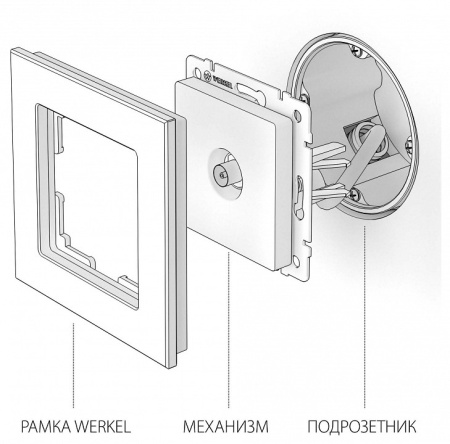 ТВ-розетка оконечная без рамки Werkel  W1183006
