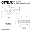 Люстра на штанге Citilux RONNY CL242163