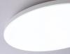 Накладной светильник Ambrella Light FZ FZ2002