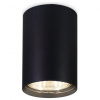 Накладной светильник Ambrella Light TN TN213102
