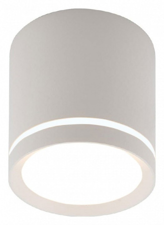 Накладной светильник Denkirs DK401 DK4013-WH