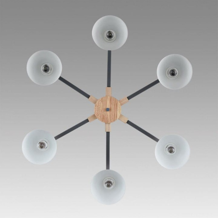 Люстра на штанге Lumion Colange 8096/6C