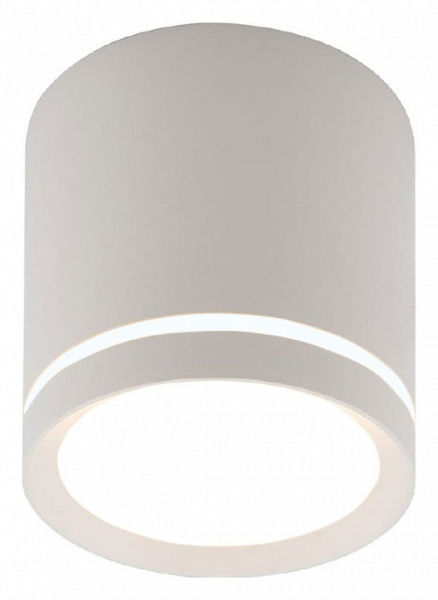 Накладной светильник Denkirs DK401 DK4013-WH