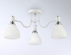 Потолочная люстра Ambrella Light TR TR303302