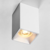 Накладной светильник Lightstar Rullo 213336