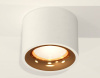 Накладной светильник Ambrella Light XS XS7510024