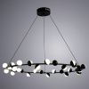 Подвесная люстра Arte Lamp Dexter A3619SP-30BK