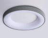 Накладной светильник Ambrella Light FZ FZ1402