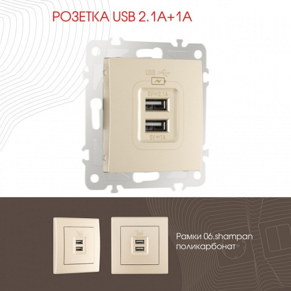 Розетка USB без рамки Arte Milano am-206 206.46-1.shampan