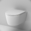 Подвесной унитаз AM.PM Func C8F1700SC с крышкой-сиденьем