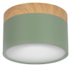 Накладной светильник Loft it Grape 10162 Green