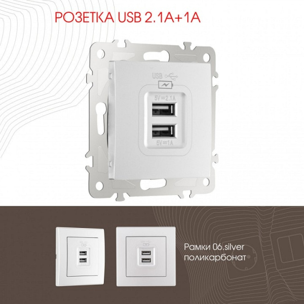Розетка USB без рамки Arte Milano am-206 206.46-1.silver