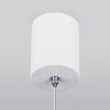 Подвесной светильник Elektrostandard DLS028 a047769