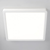 Накладной светильник Citilux Бейсик CL738K240V