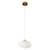 Подвесной светильник Loft it Fionora 10531C