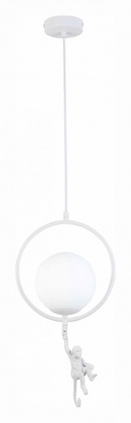 Подвесной светильник EVOLUCE Tenato SLE115113-01