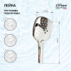 Душевая лейка Paini Pescara PSCR155F3D120