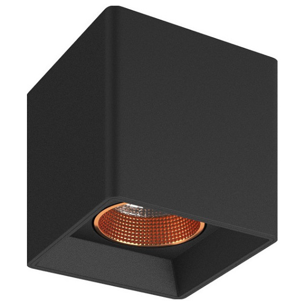 Накладной светильник Denkirs DK3030 DK3080-BBR