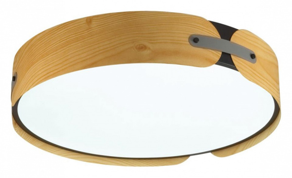 Накладной светильник Sonex Coraggio 7721/100L