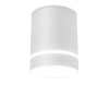 Накладной светильник Ambrella Light TN TN280