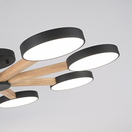 Люстра на штанге Imperiumloft TURNA Black TURNA01